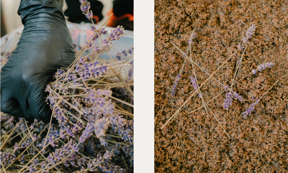 Složení našich sirupů